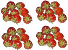 Erdbeeren-4x8.jpg